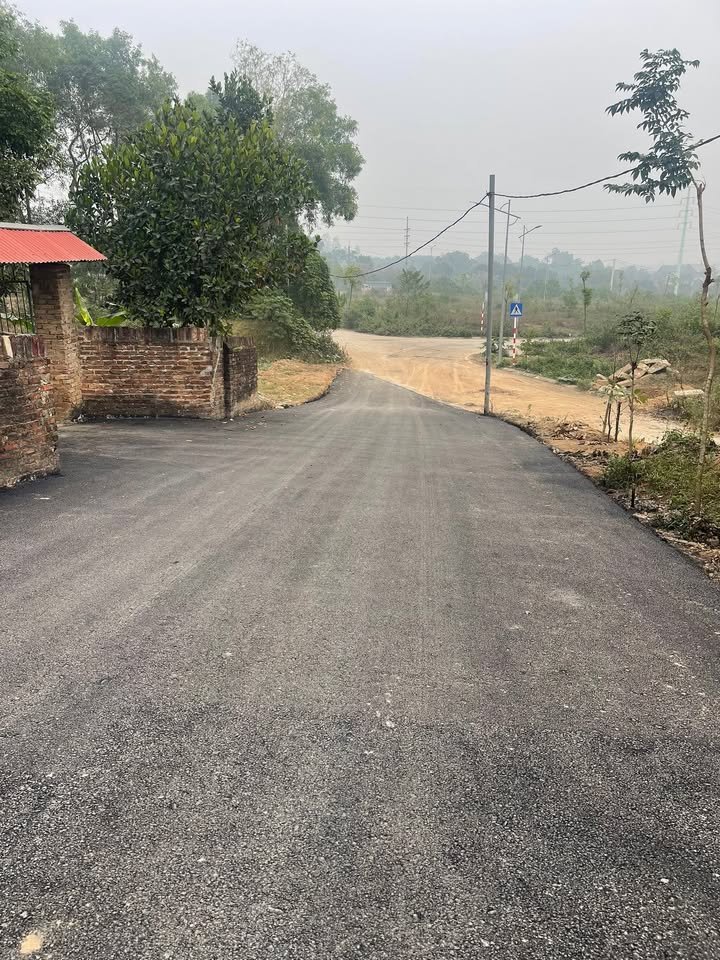 Đất nền Kim Long, Tam Dương 4.034m² giá chỉ 200 triệu/sào - Cơ hội đầu tư vàng!