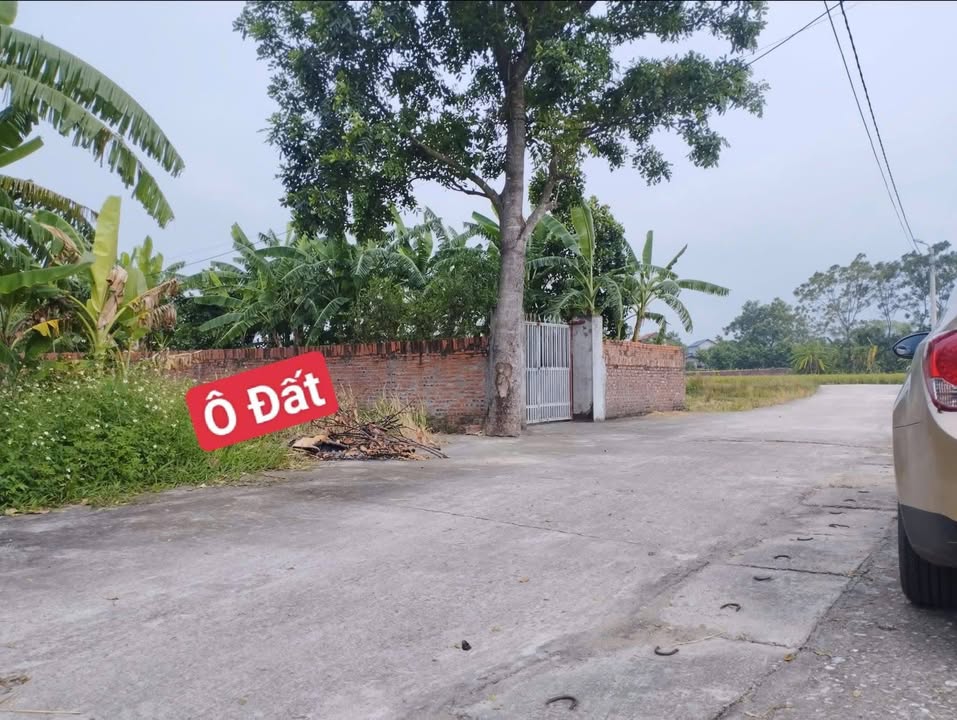 Đất nền TDP Lưu Quang, Gia Khánh 116m² giá chỉ 700 triệu - Cơ hội đầu tư tuyệt vời!