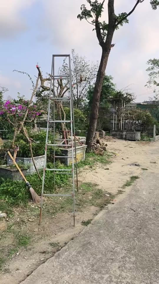 Lô đất vàng Xuân Thành 240m² giá 3.1 tỷ - Đầu tư sinh lời ngay!