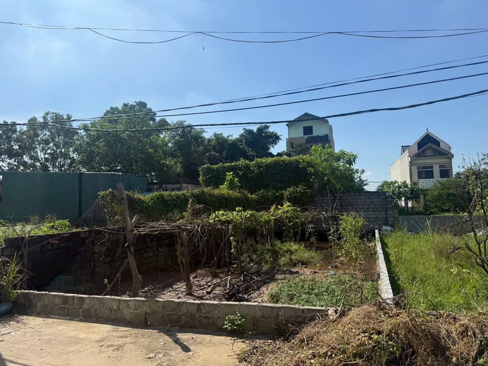 Đất nền Lê Lợi Thường Tín 80m² giá 2.5 tỷ - Mặt tiền đắc địa!