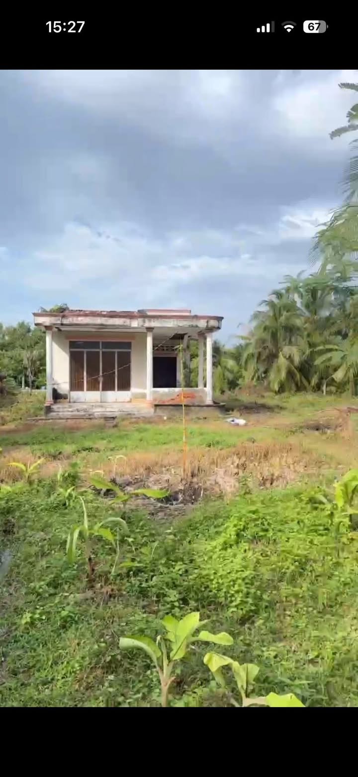 Đất nền Phú Khương Bến Tre 1.448m² giá 2.5 tỷ - Đầu tư sinh lời hấp dẫn!