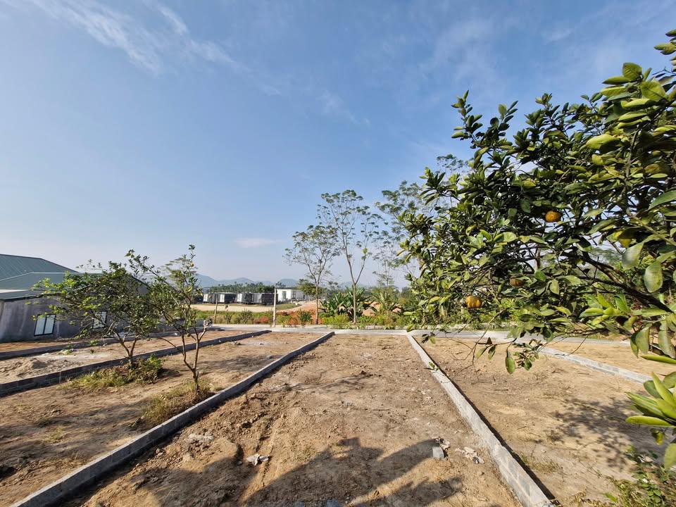 Lô đất Tân Cương 200m² giá 800 triệu - Đầu tư sinh lời tiềm năng!