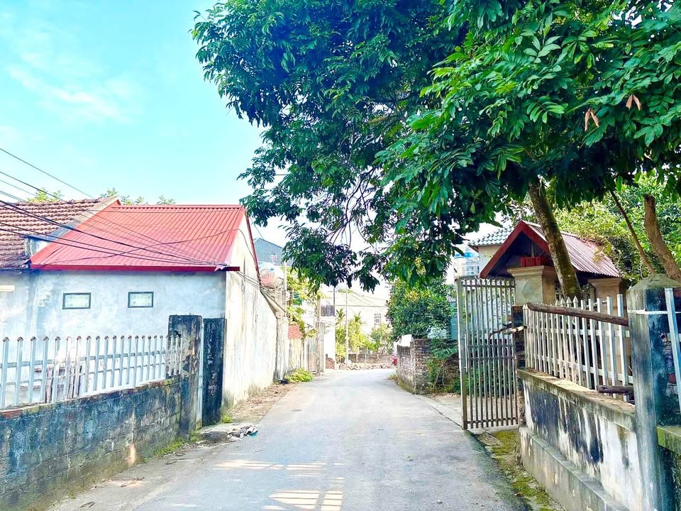 Đất thổ cư Hương Sơn, Bình Xuyên 100m² giá chỉ 1.3 tỷ - Cơ hội đầu tư hấp dẫn!