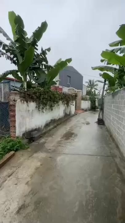 Đất nền An Thọ An Lão 70m² giá chỉ 600 triệu - Đầu tư sinh lời ngay!