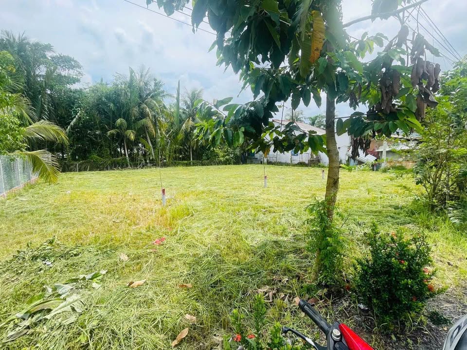 Đất nền mặt tiền tỉnh lộ 909, xã Cái Ngang, 100m² giá 610 triệu - Kinh doanh lý tưởng!