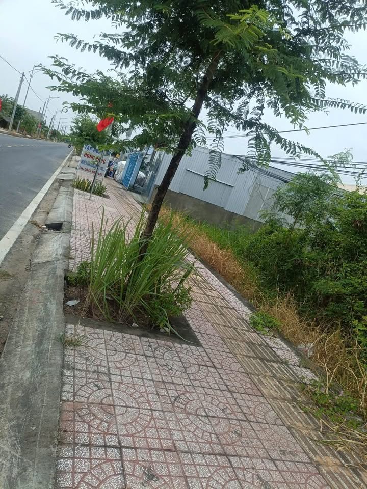 Đất mặt tiền đường Lò Rèn, phường Vĩnh Trạch, Cà Mau 825m² - Giá cực tốt chỉ 825 triệu!