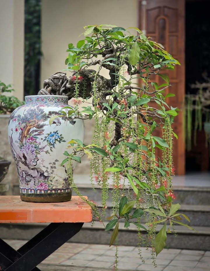 Nhà chính chủ đường Âu Cơ, Cam Phúc Bắc, 80m² chỉ 1.3 tỷ - Cách biển 70m!