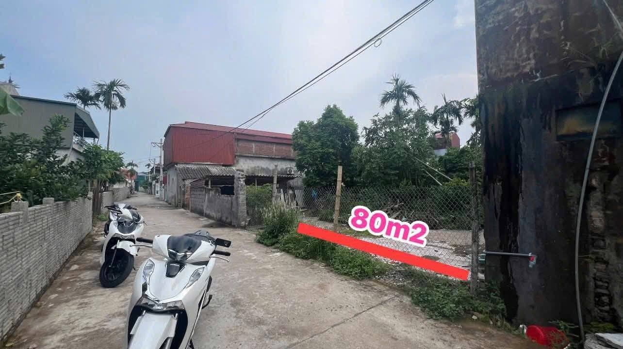 Đất nền đấu giá Tiên Sơn 80m² - Cơ hội đầu tư sinh lời cao!