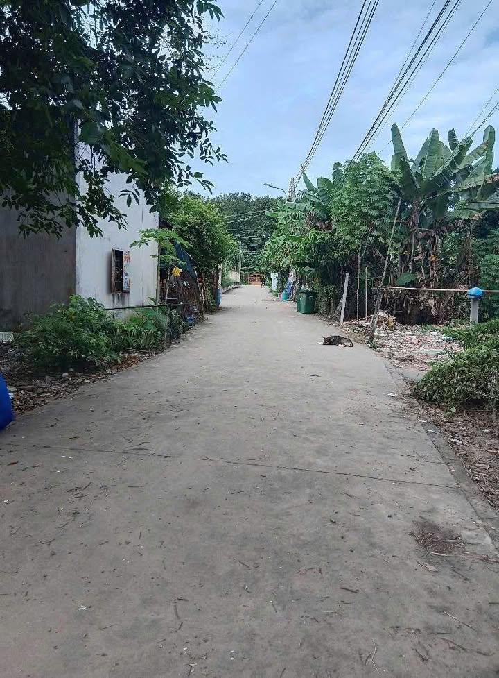 Đất nền Phú An Bến Cát 1.610m² giá 3.9 tỷ - Khu vực phát triển tiềm năng!