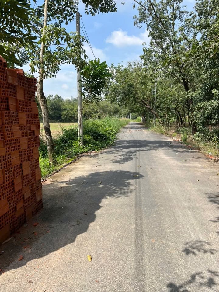 Đất nền Chánh Phú Hòa 209m² giá 1.1 tỷ - Đầu tư sinh lời lý tưởng!