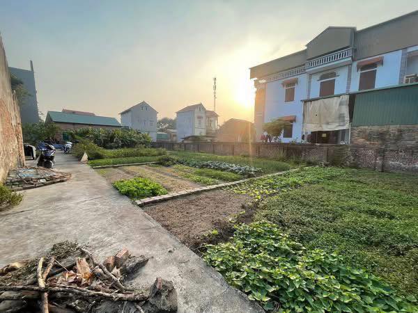 Đất nền Thượng Hồng, Khoái Châu 62.8m² giá chỉ 900 triệu - Đường ô tô vào tận nơi!