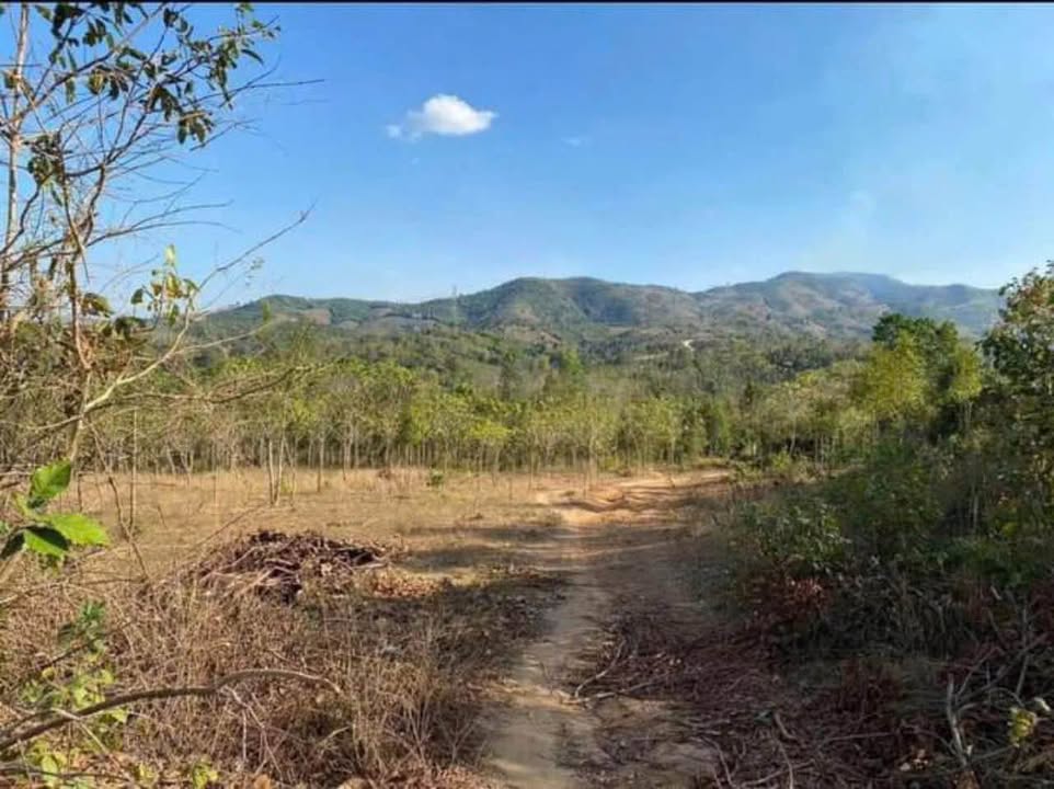 Đất nông nghiệp Đăk Rơ Wa, Kon Tum 1081m² giá 1xx triệu - Sổ hồng chính chủ!