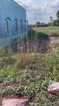 Đất thổ cư Phước Vân, Long An 120m² giá 750 triệu - Chủ cần bán gấp!