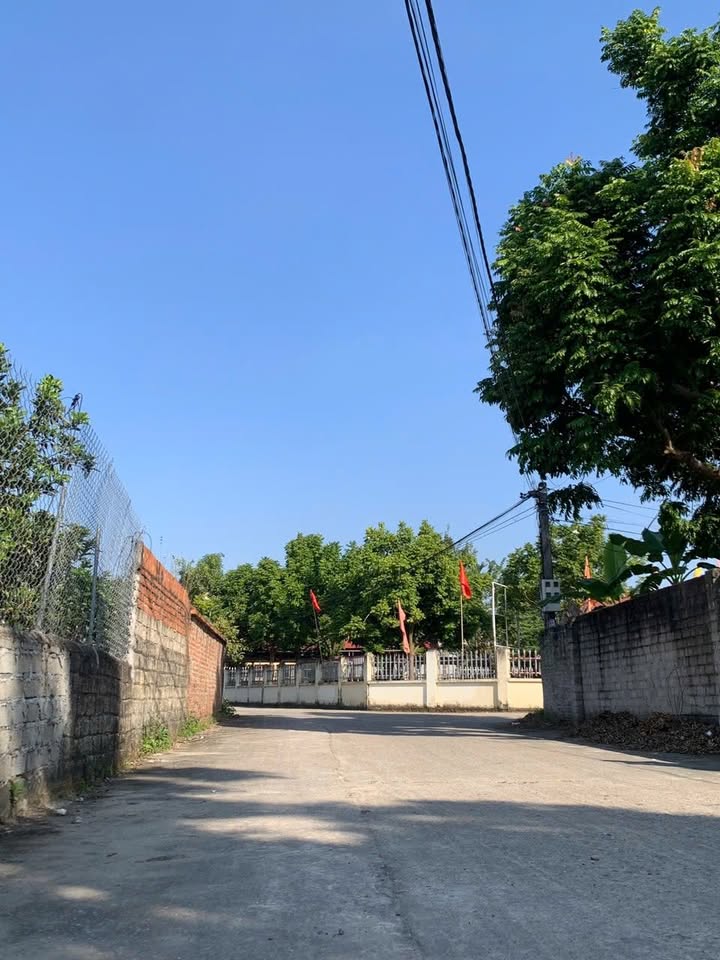 Đất chính chủ 121,8m² tại Hiệp Hòa, Bắc Giang - Đường ô tô vào tận nơi!