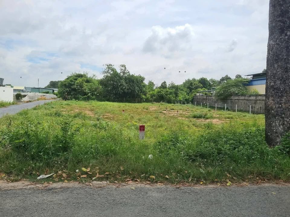 Đất thổ cư đường Lê Thị Hoa, Củ Chi 107m² giá 2.499 tỷ - Cơ hội đầu tư tuyệt vời!