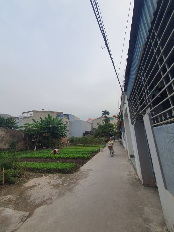 Nhà riêng Thư Trung, Hải An 284m² - Vị trí đắc địa, tiện ích đầy đủ!