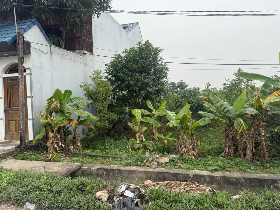 Lô đất Gia Phú, Gia Viễn 120m² giá 1.6 tỷ - Vị trí đẹp, tiện ích đầy đủ!