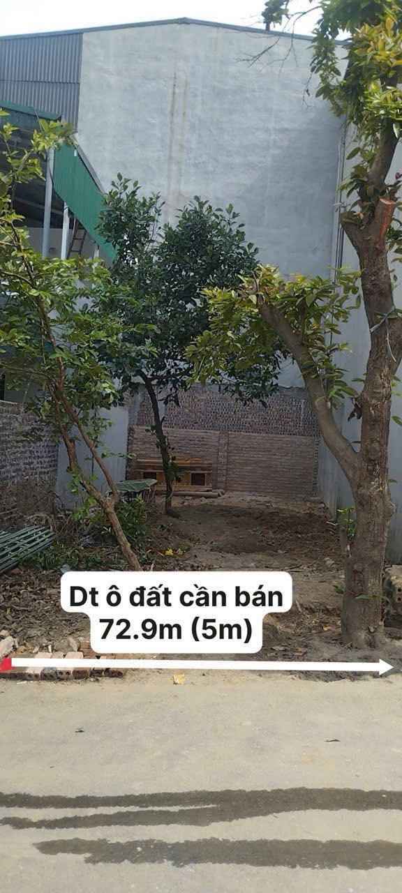 Đất thổ cư 73m² tại Nông Trang, TP Việt Trì - Giá chỉ 2.9 tỷ!