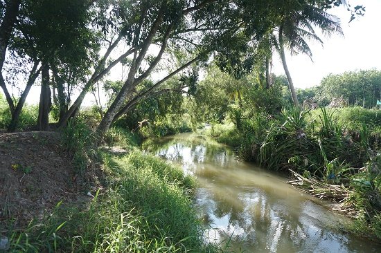 Đất vườn Gia Tân 1 1000m² giá 1.15 tỷ - View Hồ Trị An thoáng mát!