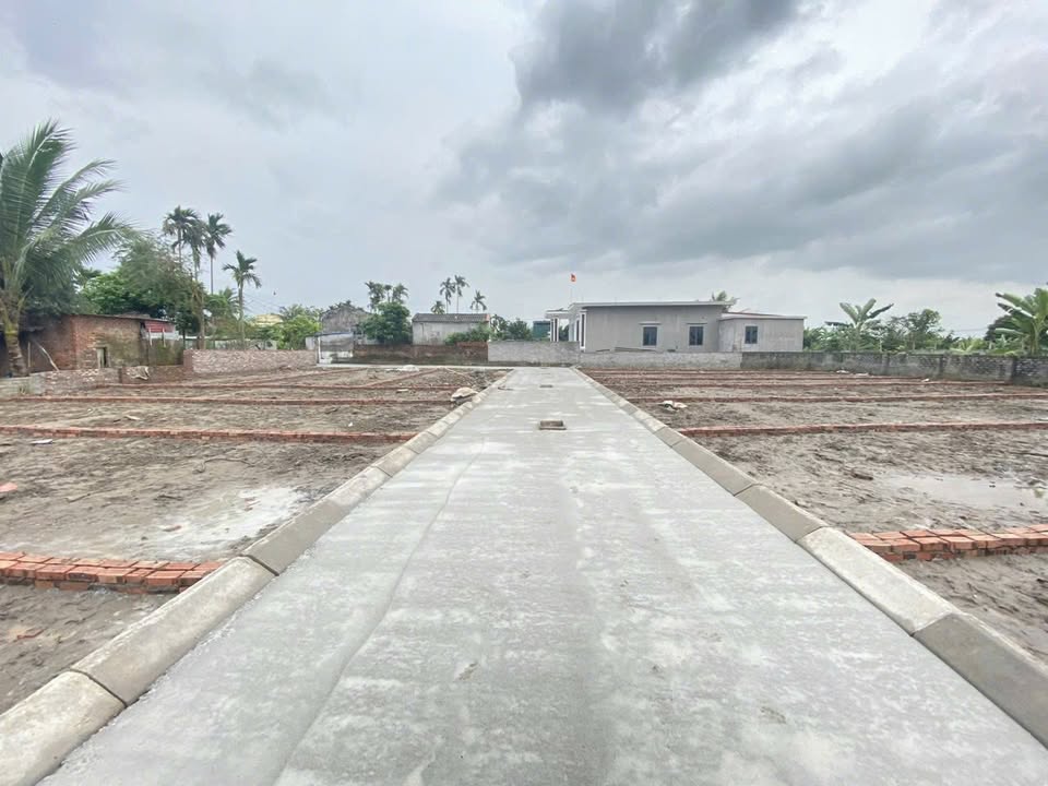 Đất nền Tân Viên, An Lão 60m² - Sổ đỏ chính chủ, giá chỉ từ 4xx triệu!