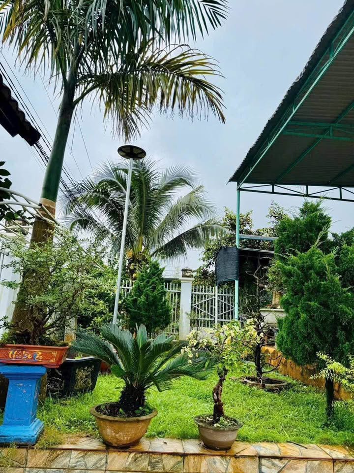 Nhà bán tại Gia Nghĩa, Đắk Nông - 165m² giá 3 tỷ - Thiết kế hiện đại, full nội thất gỗ