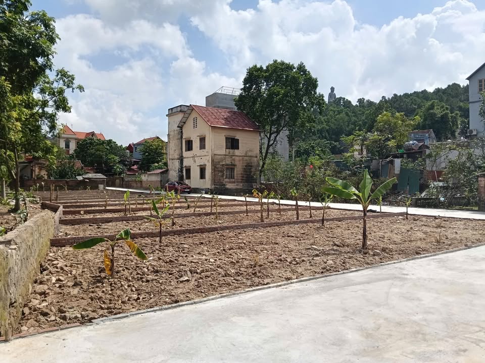 Đất nền Phật Tích, Tiên Du Bắc Ninh 75m² giá 2 tỷ - Tiềm năng đầu tư cao!