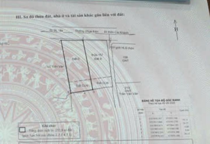 Đất nền Đông Hải Tiên Yên 250m² giá chỉ 1.2 tỷ - Đầu tư sinh lời ngay!