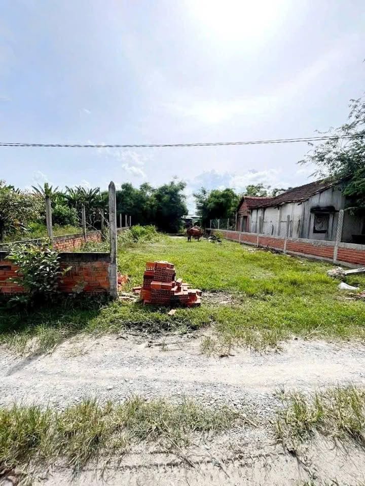 Đất nền Đức Hòa Thượng, Long An 125m² giá 850 triệu - Cơ hội đầu tư tuyệt vời!