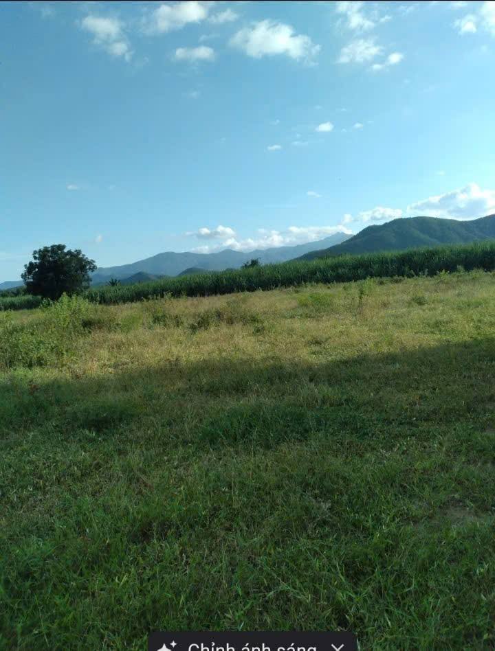 Đất nền 1000m² xã Quảng Sơn - Giá chỉ 100 triệu - Cơ hội đầu tư hấp dẫn!