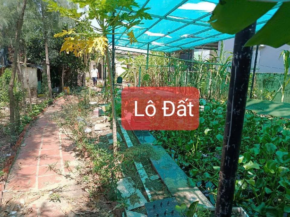 Bán lô đất 478m² Hòa Hải, Ngũ Hành Sơn chỉ 13.548 tỷ - Đầu tư sinh lời tuyệt vời!