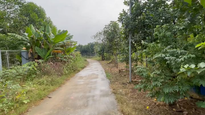 Đất nghỉ dưỡng Hưng Long Yên Lập 1150m² giá 1 tỷ - Tặng nhà cấp 4 siêu đẹp!