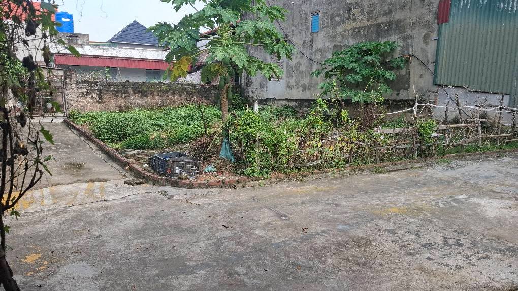 Đất lô góc Cẩm Phúc 113m² giá 1 tỷ - Mặt tiền rộng, ô tô vào thoải mái!