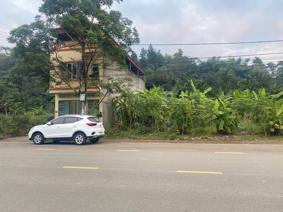 Đất nền phường Cam Đường, Lào Cai 125m² giá 1.2 tỷ - Mặt đường rộng rãi, thích hợp xây dựng!