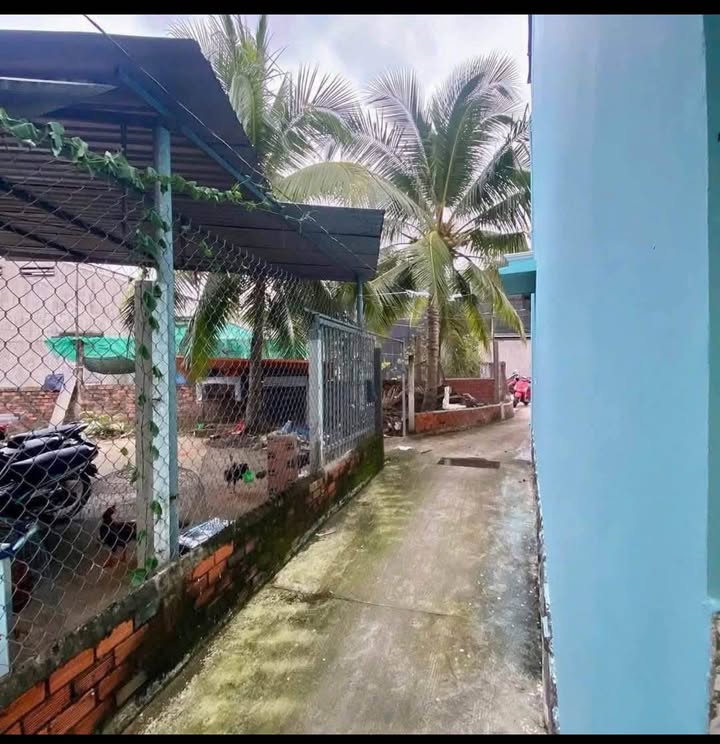 Nhà riêng 425B Nguyễn Đình Chiểu, Phường 8, Bến Tre - 50m² chỉ 750 triệu!