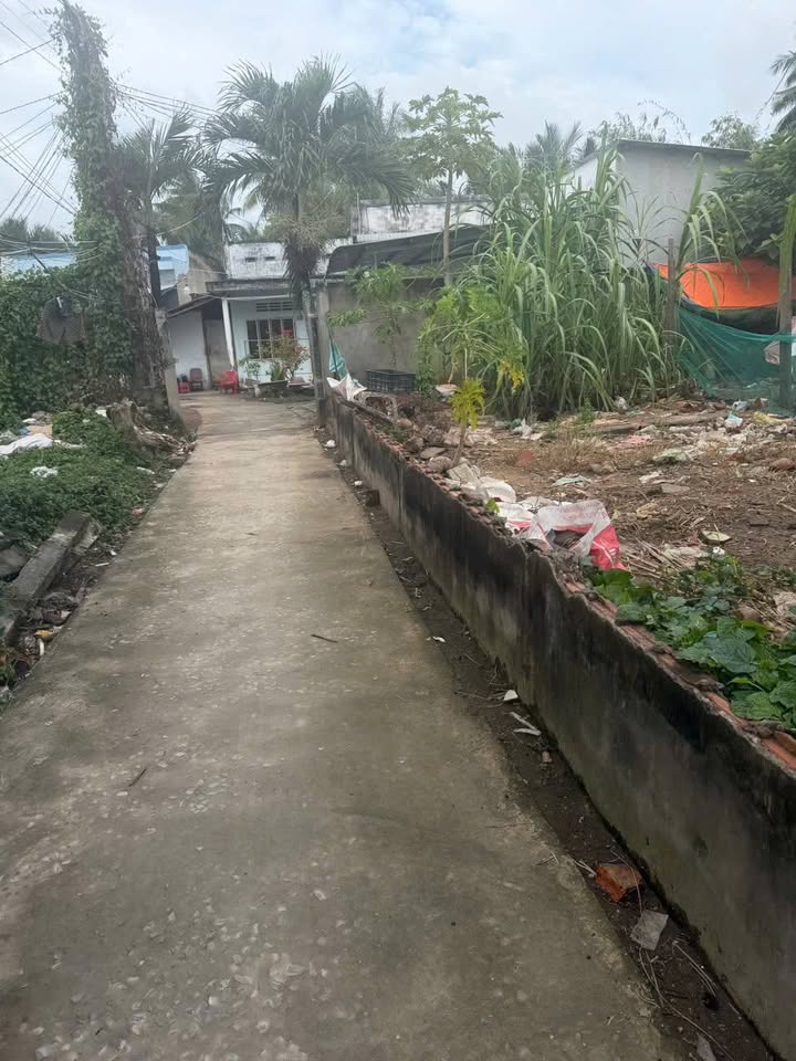 Đất thổ cư phường An Hội, Bến Tre 64m² giá 500 triệu - Cơ hội đầu tư tốt!