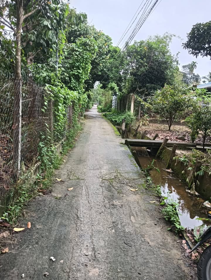 Đất nền Phú Hội Nhơn Trạch 100m² giá 300 triệu - Sổ đỏ chính chủ từng nền!