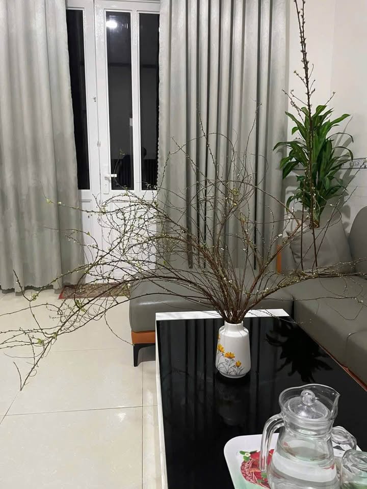 Nhà mặt tiền đường Trương Vĩnh Ký, Sóc Trăng 1PN giá 2.5 triệu - Nội thất đầy đủ, sẵn sàng ở ngay!