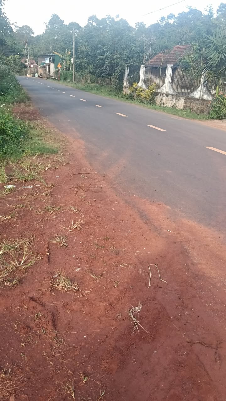 Đất mặt tiền đường nhựa Đức Mạnh 800m² giá 230 triệu - Cơ hội đầu tư hấp dẫn!