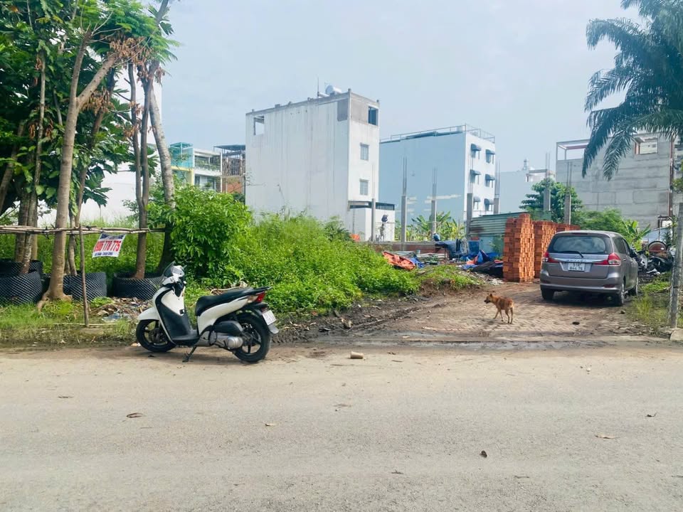 Đất nền Khu Tái định cư Phú Mỹ Quận 7 diện tích 113.5m² giá 13.8 tỷ - Lô góc đẹp, đối diện công viên!