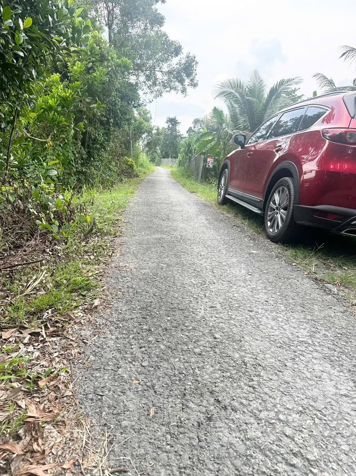 Đất nền xã Cái Ngan, huyện Tam Bình, Vĩnh Long - 150m² giá chỉ 280 triệu - Sổ đỏ chính chủ!