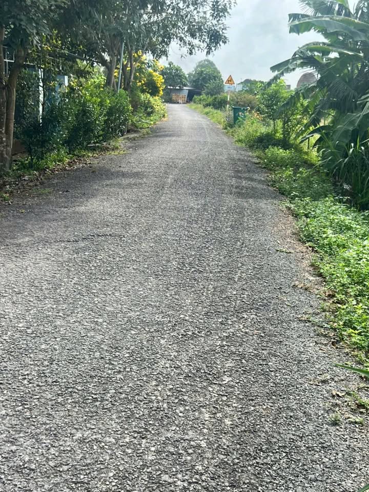 Đất nền xã Bình Phước, Vĩnh Long 110m² giá 290 triệu - Đầu tư sinh lời ngay!