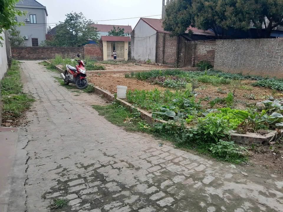 Đất thổ cư Hiền Ninh, Sóc Sơn 100m² - Cơ hội đầu tư tuyệt vời!