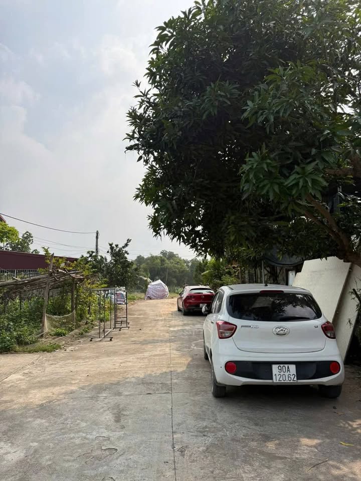 Đất nền Yên Nam Duy Tiên 68m² giá 1 tỷ - Ô tô vào tận nơi!