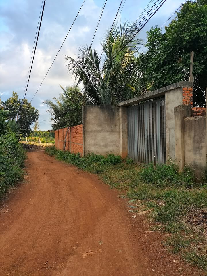 Đất thổ cư 3600m² tại thôn 5, Buôn Đôn, Đắk Lắk chỉ 7 tỷ - Cơ hội đầu tư tuyệt vời!