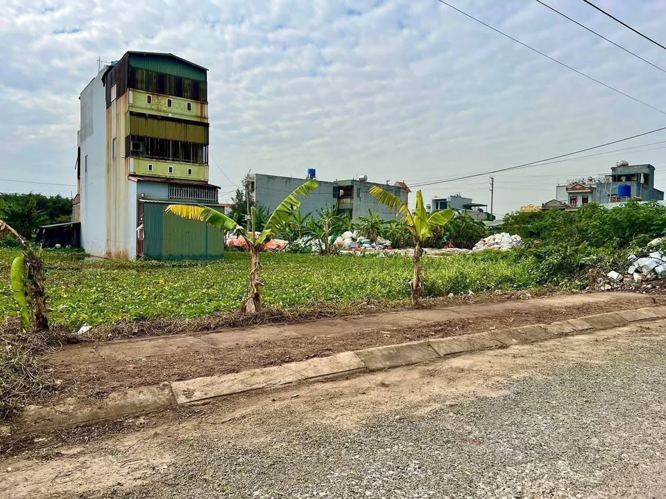 Đất nền Trái Diêm 1, Tiền Hải, Thái Bình - Giá 1.4 tỷ, Hướng Đông Bắc