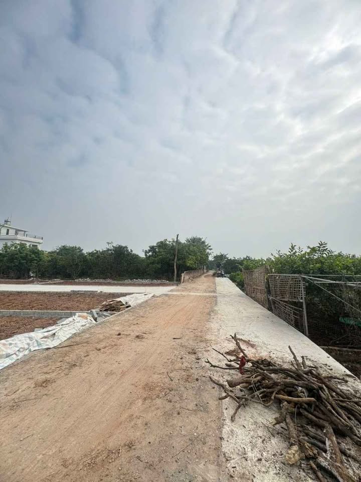 Đất thổ cư 50m² - Khoái Châu, Hưng Yên - Đầu tư sinh lời hấp dẫn!