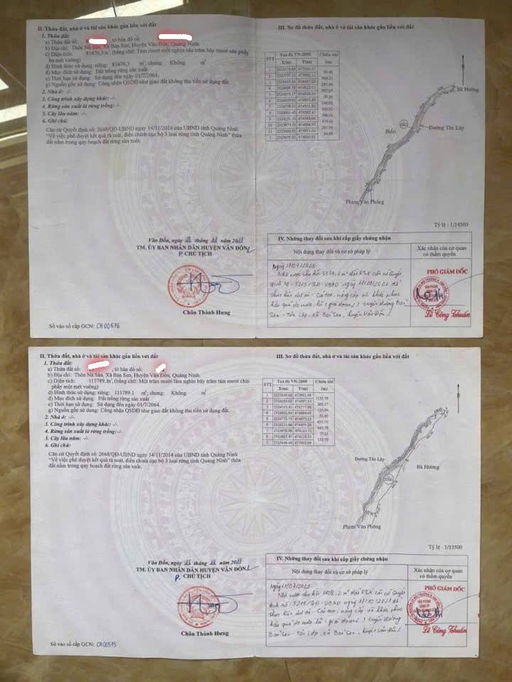 Đất rừng sản xuất 20ha mặt tiền biển Vân Đồn giá 40 tỷ - Cơ hội đầu tư hiếm có!