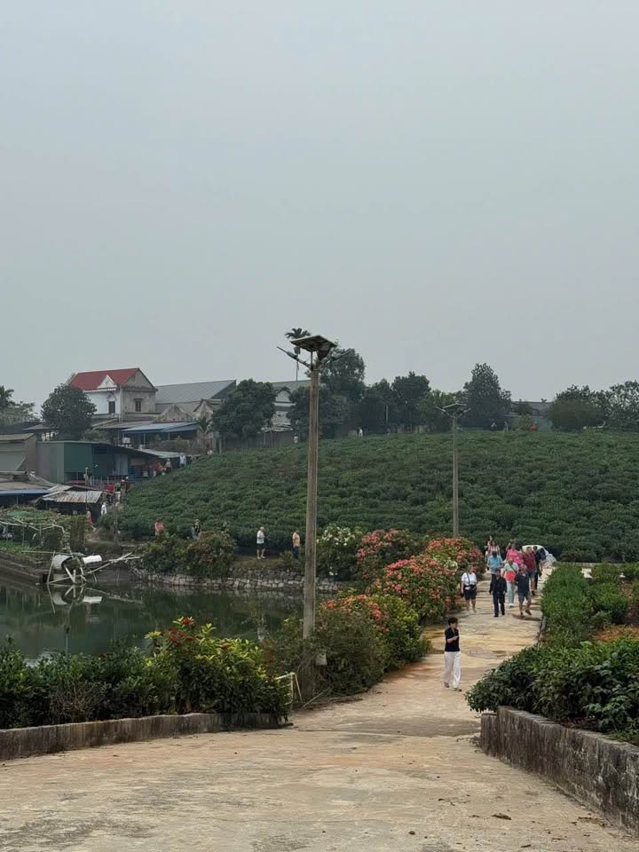 Đất thổ cư Tân Cương 85m² giá 950 triệu - Cơ hội đầu tư tuyệt vời!