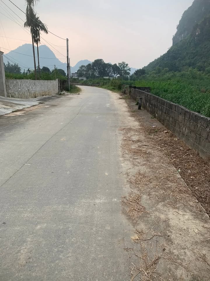 Đất liền kề thôn 4 Gia Lâm Nho Quan 161m² giá 600 triệu - Có thương lượng!