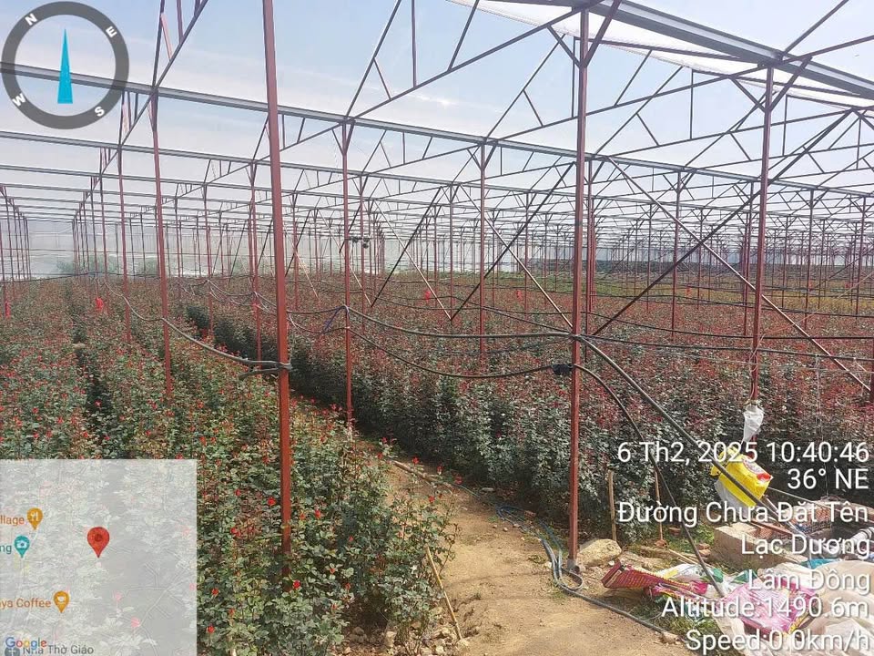 Đất nền 6667m² bên KDL Lang Biang - Đà Lạt giá 10,5 tỷ - Cơ hội đầu tư tuyệt vời!